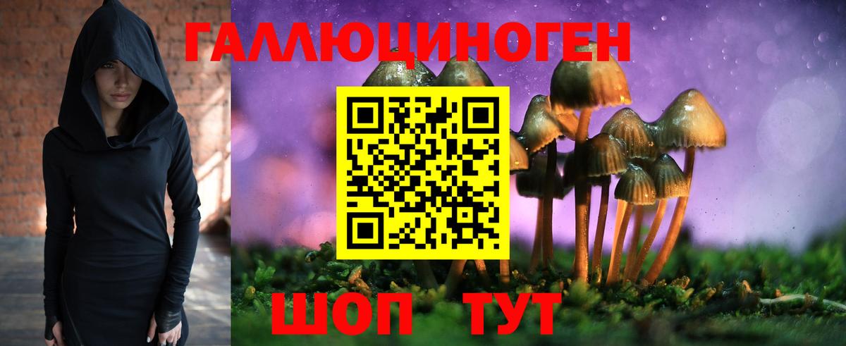 Тобольск  дарнет шоп  Вход с VPN  Псилоцибиновые грибы Cubensis 